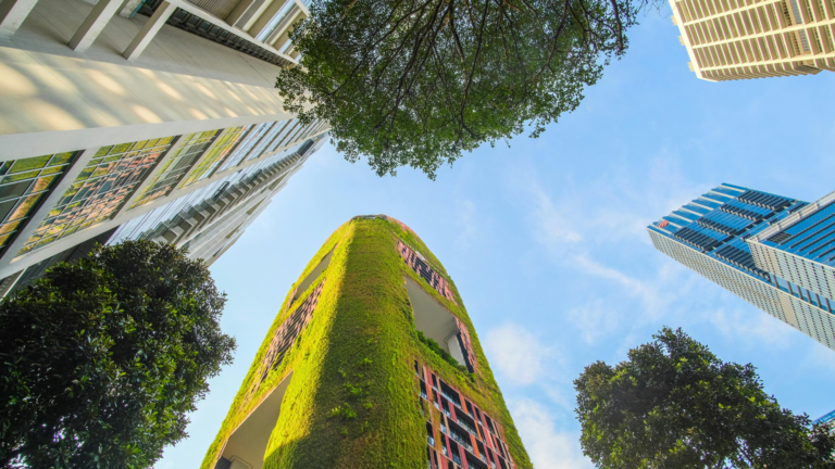 ESG, Capitalismo Consciente e Sustentabilidade: Aliando sucesso empresarial à geração de valor para a sociedade