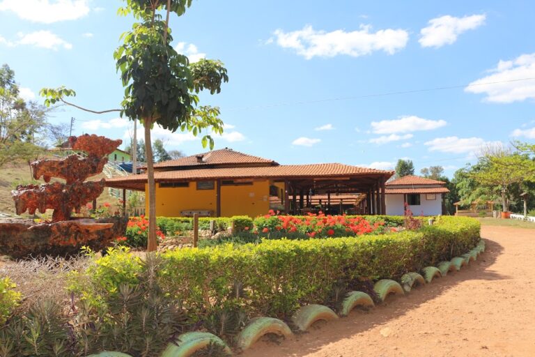 AAMAR – Associação Amar e Renascer – comemora seus 20 anos resgatando vidas